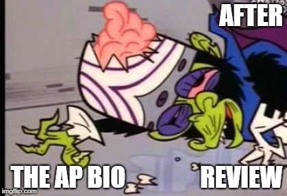 MOJOBRAIN | AFTER; THE AP BIO; REVIEW | image tagged in mojobrain | made w/ Imgflip meme maker