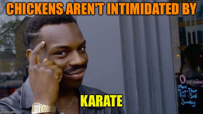 Roll Safe Think About It Meme | CHICKENS AREN'T INTIMIDATED BY KARATE | image tagged in memes,roll safe think about it | made w/ Imgflip meme maker