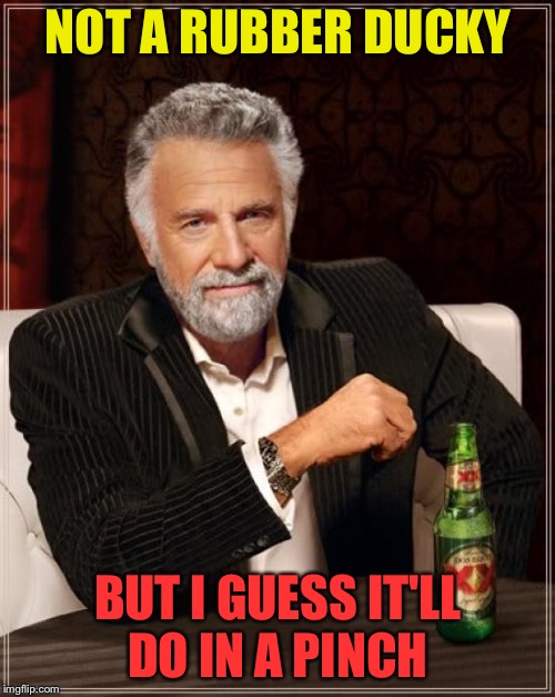 The Most Interesting Man In The World Meme | NOT A RUBBER DUCKY BUT I GUESS IT'LL DO IN A PINCH | image tagged in memes,the most interesting man in the world | made w/ Imgflip meme maker