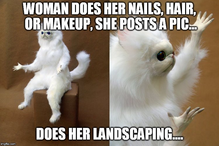Persian Cat Guardian | WOMAN DOES HER NAILS, HAIR, OR MAKEUP, SHE POSTS A PIC... DOES HER LANDSCAPING.... | image tagged in persian cat guardian | made w/ Imgflip meme maker