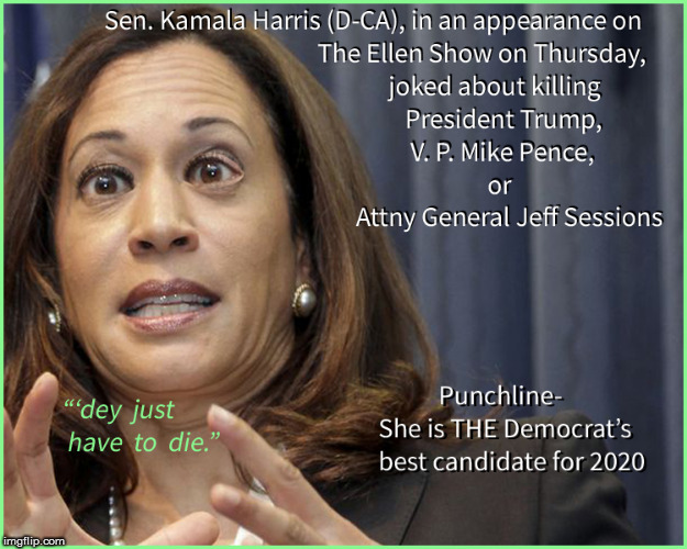 The Democrat's Best Candidate for 2020 | image tagged in kamala harris,democrats,current events,politics lol,funny memes,election 2020 | made w/ Imgflip meme maker