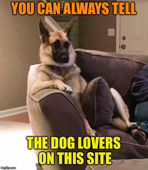 YOU CAN ALWAYS TELL THE DOG LOVERS ON THIS SITE | made w/ Imgflip meme maker