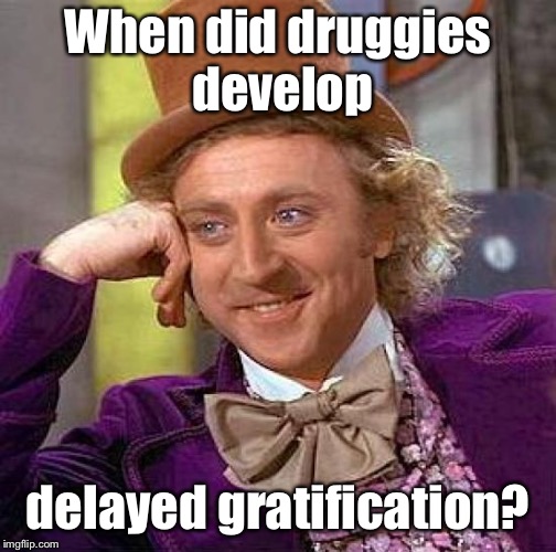 Creepy Condescending Wonka Meme | When did druggies develop delayed gratification? | image tagged in memes,creepy condescending wonka | made w/ Imgflip meme maker