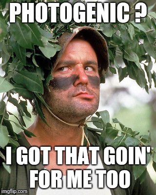 Bill Murray camouflaged | PHOTOGENIC ? I GOT THAT GOIN' FOR ME TOO | image tagged in bill murray camouflaged | made w/ Imgflip meme maker