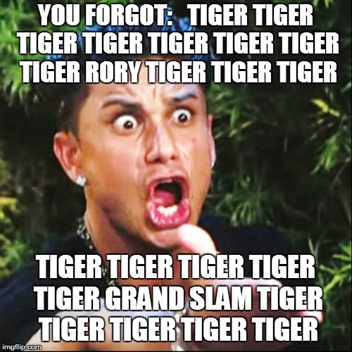 YOU FORGOT:   TIGER TIGER TIGER TIGER TIGER TIGER TIGER TIGER RORY TIGER TIGER TIGER TIGER TIGER TIGER TIGER TIGER GRAND SLAM TIGER TIGER TI | made w/ Imgflip meme maker