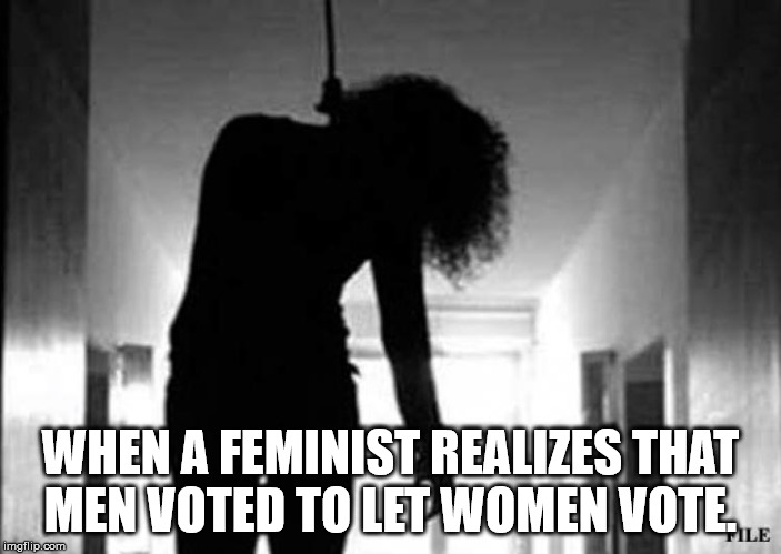Shocked! | WHEN A FEMINIST REALIZES THAT MEN VOTED TO LET WOMEN VOTE. | image tagged in feminism,feminist,feminazi,triggered feminist | made w/ Imgflip meme maker