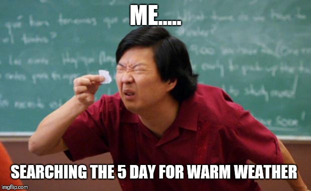 Tiny piece of paper | ME..... SEARCHING THE 5 DAY FOR WARM WEATHER | image tagged in tiny piece of paper | made w/ Imgflip meme maker