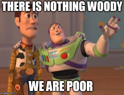 X, X Everywhere | THERE IS NOTHING WOODY; WE ARE POOR | image tagged in memes,x x everywhere | made w/ Imgflip meme maker