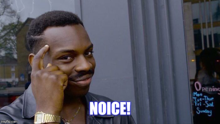 Roll Safe Think About It Meme | NOICE! | image tagged in memes,roll safe think about it | made w/ Imgflip meme maker