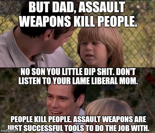 That's Just Something X Say | BUT DAD, ASSAULT WEAPONS KILL PEOPLE. NO SON YOU LITTLE DIP SHIT. DON'T LISTEN TO YOUR LAME LIBERAL MOM. PEOPLE KILL PEOPLE. ASSAULT WEAPONS ARE JUST SUCCESSFUL TOOLS TO DO THE JOB WITH. | image tagged in memes,thats just something x say | made w/ Imgflip meme maker