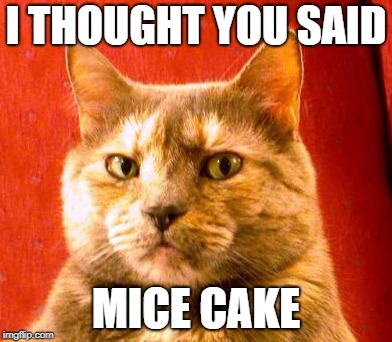 I THOUGHT YOU SAID MICE CAKE | made w/ Imgflip meme maker