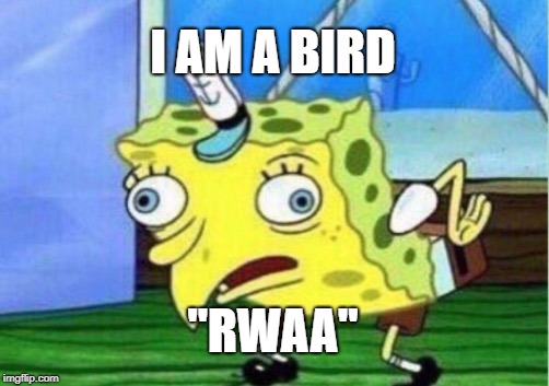 Mocking Spongebob | I AM A BIRD; ''RWAA'' | image tagged in memes,mocking spongebob | made w/ Imgflip meme maker