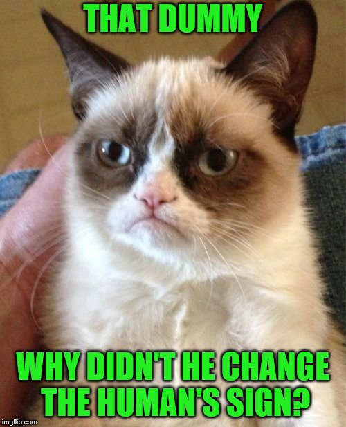 Grumpy Cat Meme | THAT DUMMY WHY DIDN'T HE CHANGE THE HUMAN'S SIGN? | image tagged in memes,grumpy cat | made w/ Imgflip meme maker