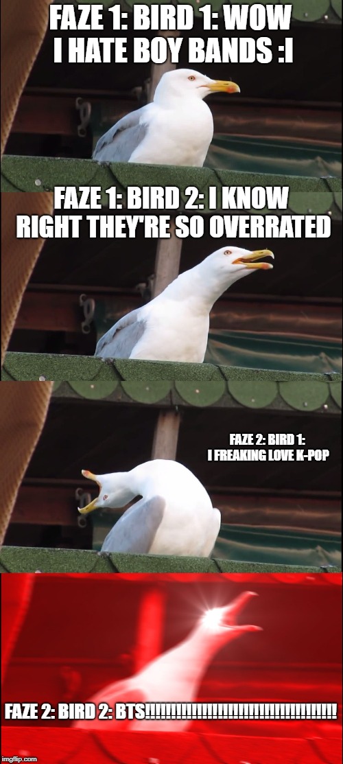 Inhaling Seagull Meme | FAZE 1: BIRD 1: WOW I HATE BOY BANDS :I; FAZE 1: BIRD 2: I KNOW RIGHT THEY'RE SO OVERRATED; FAZE 2: BIRD 1: I FREAKING LOVE K-POP; FAZE 2: BIRD 2: BTS!!!!!!!!!!!!!!!!!!!!!!!!!!!!!!!!!!!!! | image tagged in memes,inhaling seagull | made w/ Imgflip meme maker