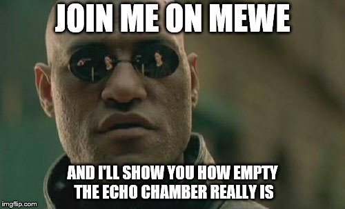 Matrix Morpheus | JOIN ME ON MEWE; AND I'LL SHOW YOU HOW EMPTY THE ECHO CHAMBER REALLY IS | image tagged in memes,matrix morpheus | made w/ Imgflip meme maker