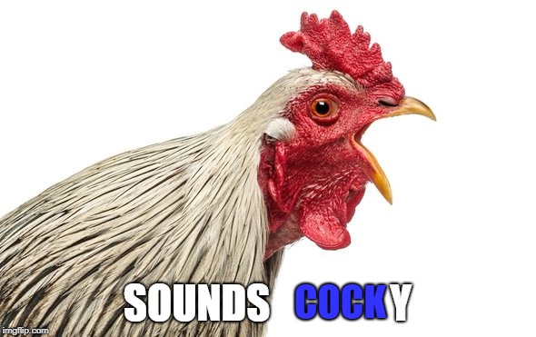 COCK SOUNDS               Y | made w/ Imgflip meme maker