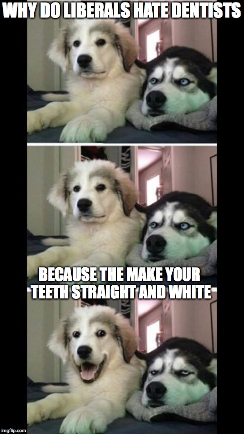 Brought back one of my favorite jokes in meme form | WHY DO LIBERALS HATE DENTISTS; BECAUSE THE MAKE YOUR TEETH STRAIGHT AND WHITE | image tagged in bad joke dogs | made w/ Imgflip meme maker