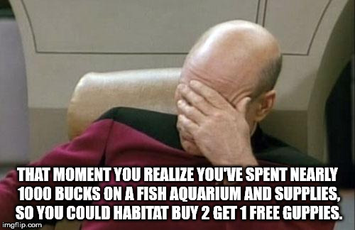 Captain Picard Facepalm Meme | THAT MOMENT YOU REALIZE YOU'VE SPENT NEARLY 1000 BUCKS ON A FISH AQUARIUM AND SUPPLIES, SO YOU COULD HABITAT BUY 2 GET 1 FREE GUPPIES. | image tagged in memes,captain picard facepalm | made w/ Imgflip meme maker