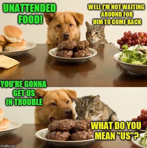 When the human is away... | UNATTENDED FOOD! WELL I'M NOT WAITING AROUND FOR HIM TO COME BACK; YOU'RE GONNA GET US IN TROUBLE; WHAT DO YOU MEAN "US"? | image tagged in memes,cats,dogs,food | made w/ Imgflip meme maker