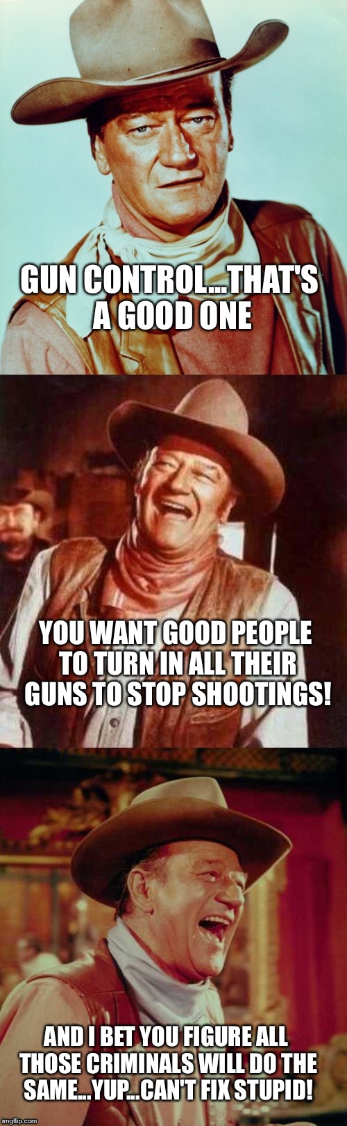 John Wayne Puns | GUN CONTROL...THAT'S A GOOD ONE; YOU WANT GOOD PEOPLE TO TURN IN ALL THEIR GUNS TO STOP SHOOTINGS! AND I BET YOU FIGURE ALL THOSE CRIMINALS WILL DO THE SAME...YUP...CAN'T FIX STUPID! | image tagged in john wayne puns | made w/ Imgflip meme maker
