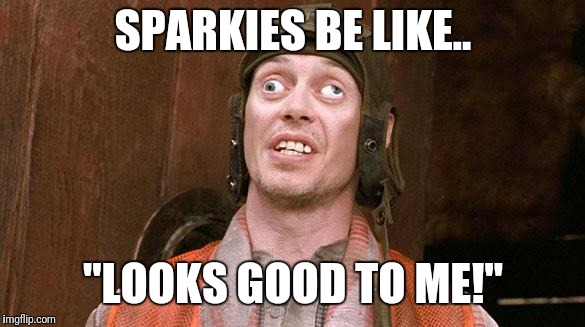 Steve Buscemi | SPARKIES BE LIKE.. "LOOKS GOOD TO ME!" | image tagged in steve buscemi | made w/ Imgflip meme maker