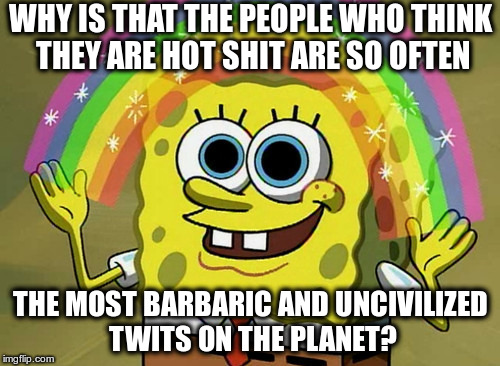 Or is it just me? | WHY IS THAT THE PEOPLE WHO THINK THEY ARE HOT SHIT ARE SO OFTEN; THE MOST BARBARIC AND UNCIVILIZED TWITS ON THE PLANET? | image tagged in memes,imagination spongebob | made w/ Imgflip meme maker