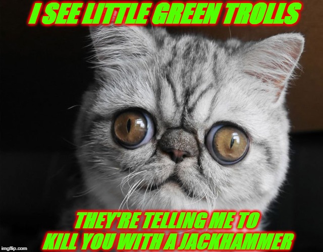 I SEE LITTLE GREEN TROLLS; THEY'RE TELLING ME TO KILL YOU WITH A JACKHAMMER | image tagged in jackhammer death | made w/ Imgflip meme maker