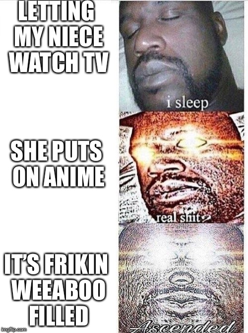 Last night was this meme | LETTING MY NIECE WATCH TV; SHE PUTS ON ANIME; IT’S FRIKIN WEEABOO FILLED | image tagged in sleeping shaq ascended,nope,memes | made w/ Imgflip meme maker