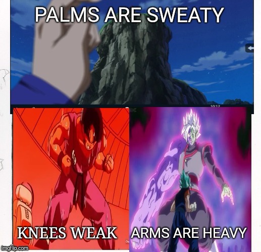 Eminem-Dragon Ball Version | PALMS ARE SWEATY; KNEES WEAK; ARMS ARE HEAVY | image tagged in dragon ball z,dragon ball super | made w/ Imgflip meme maker