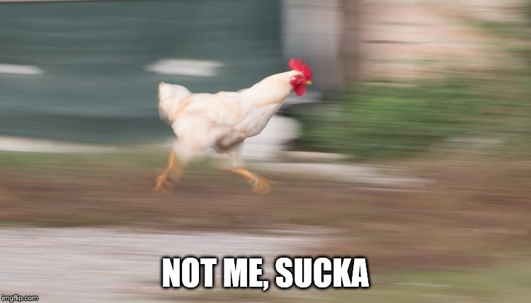 NOT ME, SUCKA | made w/ Imgflip meme maker