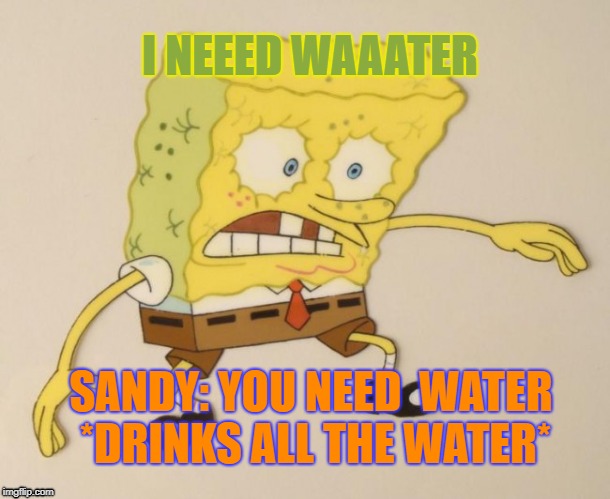 BAD SANDY | I NEEED WAAATER; SANDY: YOU NEED  WATER *DRINKS ALL THE WATER* | image tagged in spongebob,water | made w/ Imgflip meme maker