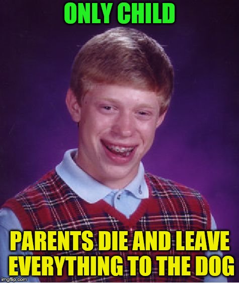 Bad Luck Brian Meme | ONLY CHILD PARENTS DIE AND LEAVE EVERYTHING TO THE DOG | image tagged in memes,bad luck brian | made w/ Imgflip meme maker