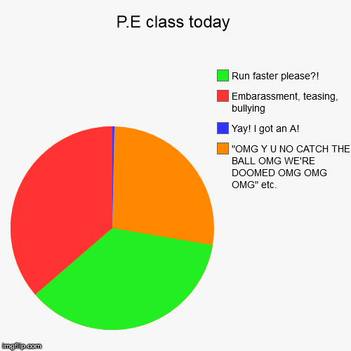 P.E class today | "OMG Y U NO CATCH THE BALL OMG WE'RE DOOMED OMG OMG OMG" etc., Yay! I got an A!, Embarassment, teasing, bullying, Run fast | image tagged in funny,pie charts | made w/ Imgflip chart maker