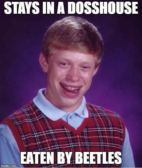 Bad Luck Brian Meme | STAYS IN A DOSSHOUSE EATEN BY BEETLES | image tagged in memes,bad luck brian | made w/ Imgflip meme maker
