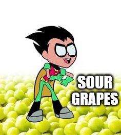 GRAPES; SOUR | image tagged in teen titans,robin,sour grapes | made w/ Imgflip meme maker