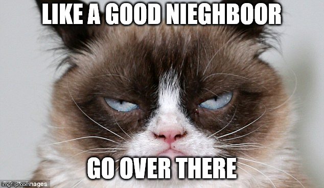 grumpycat | LIKE A GOOD NIEGHBOOR; GO OVER THERE | image tagged in grumpycat | made w/ Imgflip meme maker