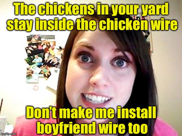 Overly Attached Girlfriend, Chicken Week | The chickens in your yard stay inside the chicken wire; Don’t make me install boyfriend wire too | image tagged in overly attached girlfriend pink,memes,chicken week,prisoner | made w/ Imgflip meme maker