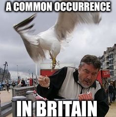 A COMMON OCCURRENCE; IN BRITAIN | made w/ Imgflip meme maker