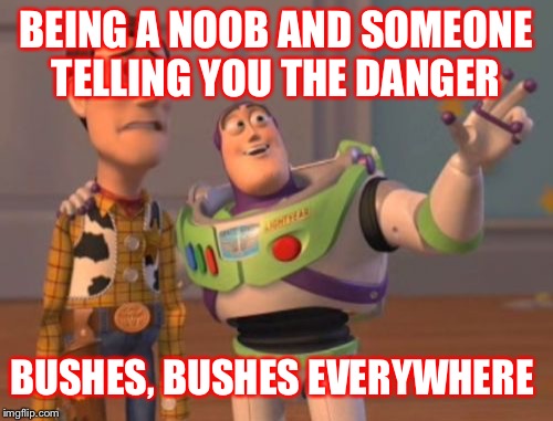 X, X Everywhere Meme | BEING A NOOB AND SOMEONE TELLING YOU THE DANGER; BUSHES, BUSHES EVERYWHERE | image tagged in memes,x x everywhere | made w/ Imgflip meme maker