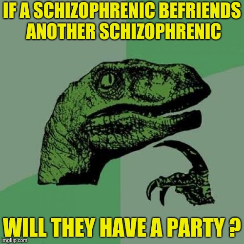 Philosoraptor Meme | IF A SCHIZOPHRENIC BEFRIENDS ANOTHER SCHIZOPHRENIC WILL THEY HAVE A PARTY ? | image tagged in memes,philosoraptor | made w/ Imgflip meme maker