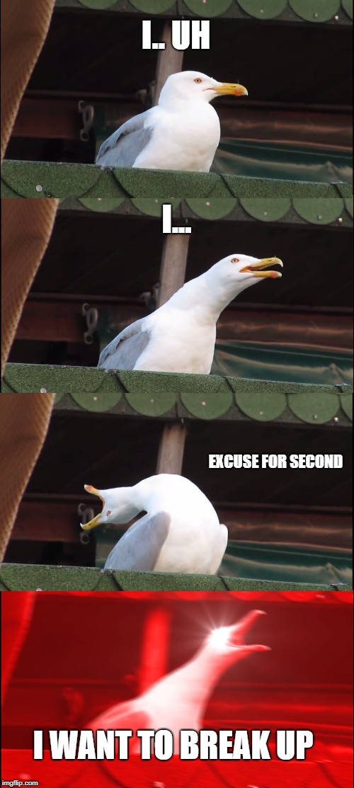 Inhaling Seagull | I.. UH; I... EXCUSE FOR SECOND; I WANT TO BREAK UP | image tagged in memes,inhaling seagull | made w/ Imgflip meme maker