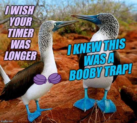 I WISH YOUR TIMER WAS LONGER I KNEW THIS WAS A BOOBY TRAP! | made w/ Imgflip meme maker