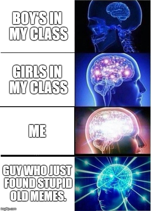 Expanding Brain Meme | BOY'S IN MY CLASS; GIRLS IN MY CLASS; ME; GUY WHO JUST FOUND STUPID OLD MEMES. | image tagged in memes,expanding brain | made w/ Imgflip meme maker