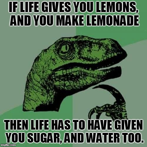 Philosoraptor | IF LIFE GIVES YOU LEMONS, AND YOU MAKE LEMONADE; THEN LIFE HAS TO HAVE GIVEN YOU SUGAR, AND WATER TOO. | image tagged in memes,philosoraptor | made w/ Imgflip meme maker