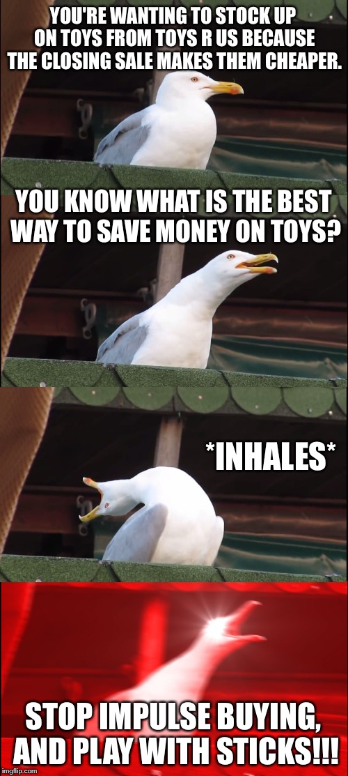 Stop hoarding and impulse buying | YOU'RE WANTING TO STOCK UP ON TOYS FROM TOYS R US BECAUSE THE CLOSING SALE MAKES THEM CHEAPER. YOU KNOW WHAT IS THE BEST WAY TO SAVE MONEY ON TOYS? *INHALES*; STOP IMPULSE BUYING, AND PLAY WITH STICKS!!! | image tagged in memes,inhaling seagull,toys r us,sale,money,play | made w/ Imgflip meme maker