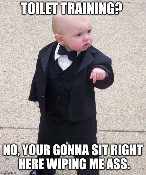 Those lazy babies  | TOILET TRAINING? NO, YOUR GONNA SIT RIGHT HERE WIPING ME ASS. | image tagged in memes | made w/ Imgflip meme maker