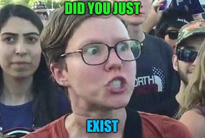 Can't do anything these days without upsetting someone | DID YOU JUST; EXIST | image tagged in triggered liberal,feminist | made w/ Imgflip meme maker