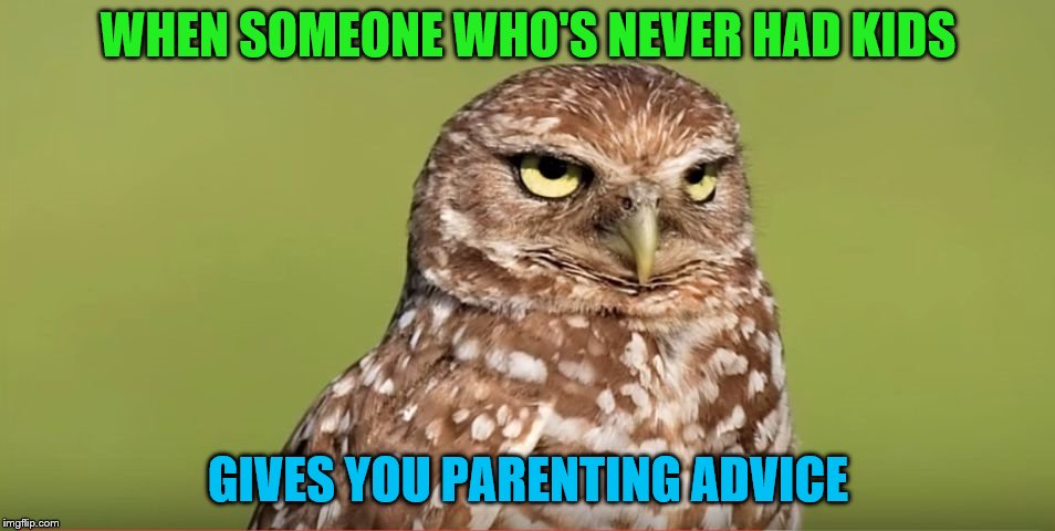DoctorDoomsday180's new template! | WHEN SOMEONE WHO'S NEVER HAD KIDS; GIVES YOU PARENTING ADVICE | image tagged in death stare owl,kids,parenting,advice | made w/ Imgflip meme maker