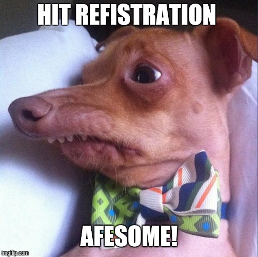 Tuna the dog (Phteven) Imgflip