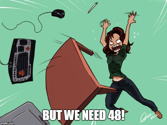 flipping the desk | BUT WE NEED 48! | image tagged in flipping the desk | made w/ Imgflip meme maker